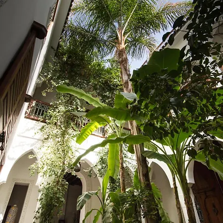 Riad Les Bougainvilliers-2